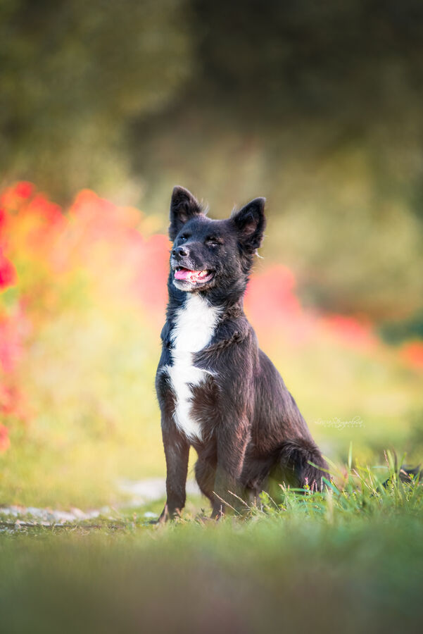 Matilda
